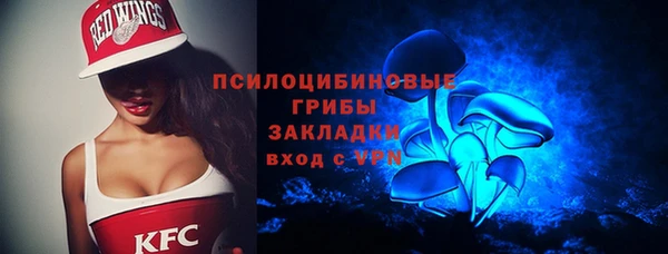 дурь Алексин