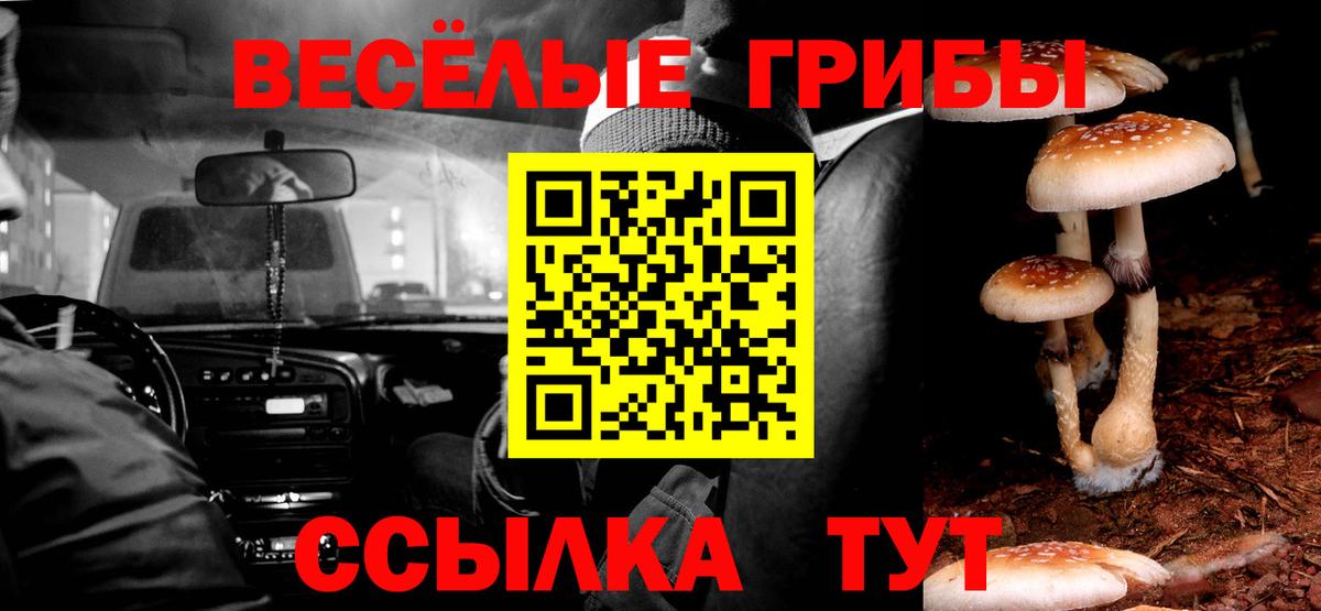 Галлюциногенные грибы Cubensis Красноярск