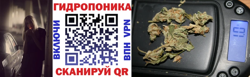 Конопля THC 21%  цены наркотик  Красноярск 